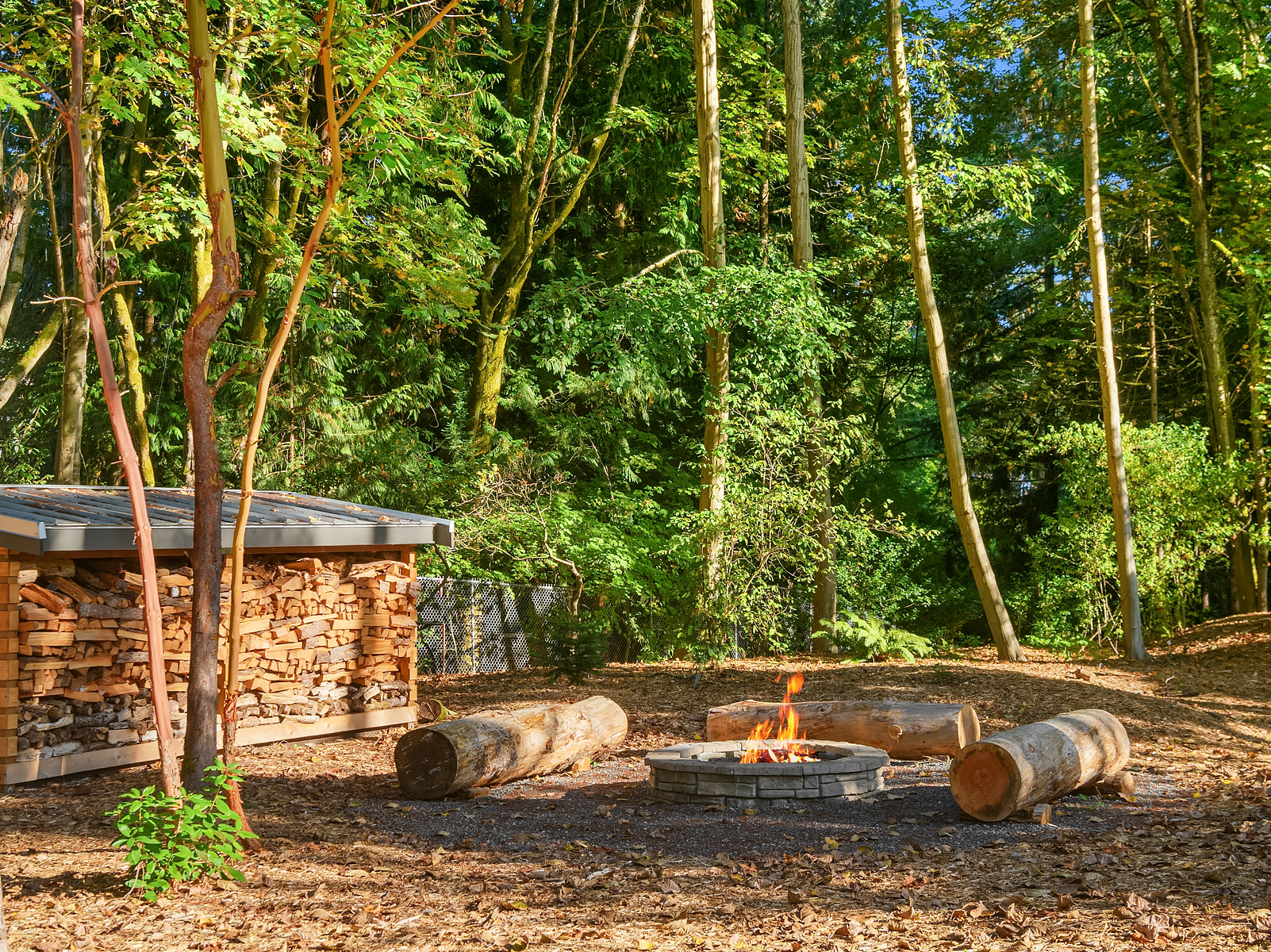 Award winning neighborhood of new construction homes in Seattle featuring walking paths and a community fire pit
